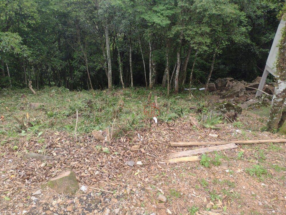 Terreno, 362 m² - Foto 5