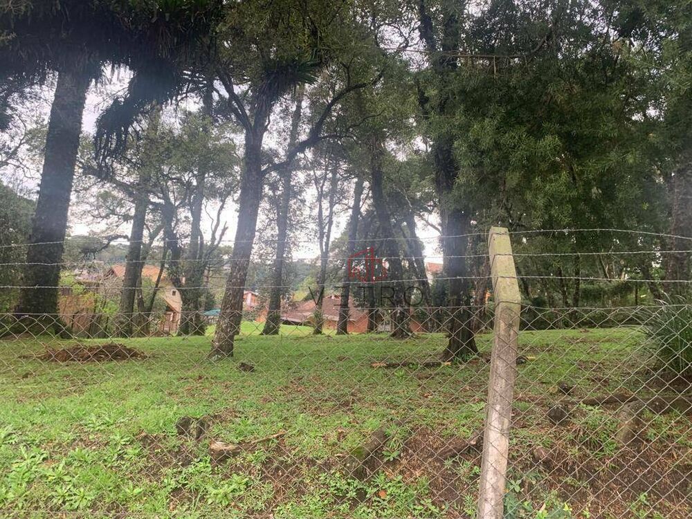 Terreno, 4008 m² - Foto 4