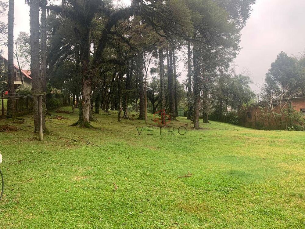 Terreno, 4008 m² - Foto 1