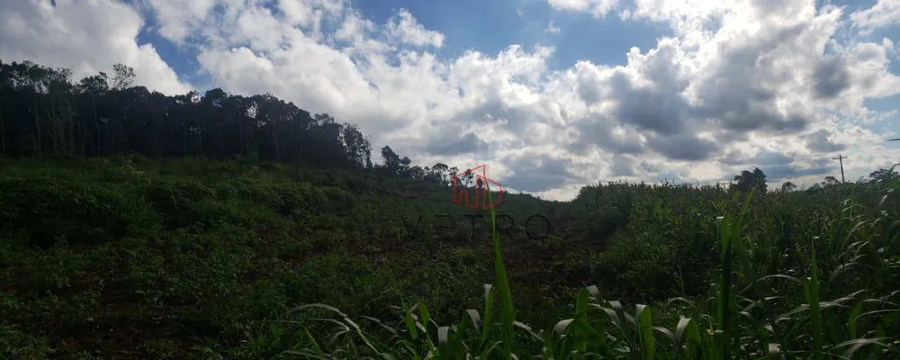 Sítio, 16 hectares - Foto 3