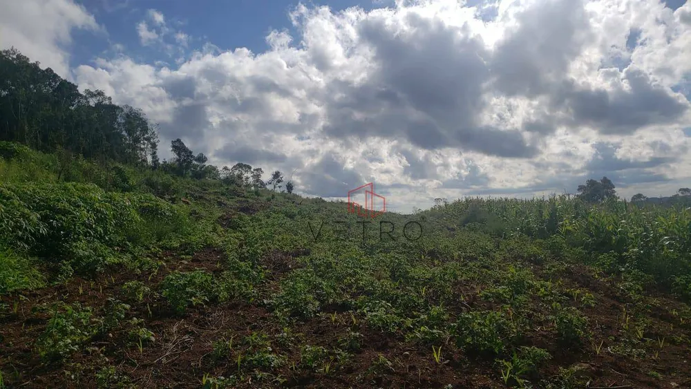 Sítio, 16 hectares - Foto 1