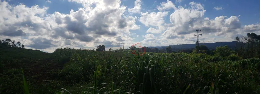Sítio, 16 hectares - Foto 4