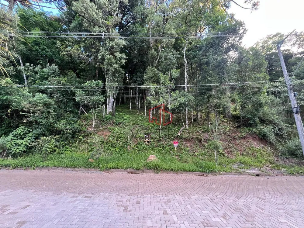 Terreno, 1125 m² - Foto 3