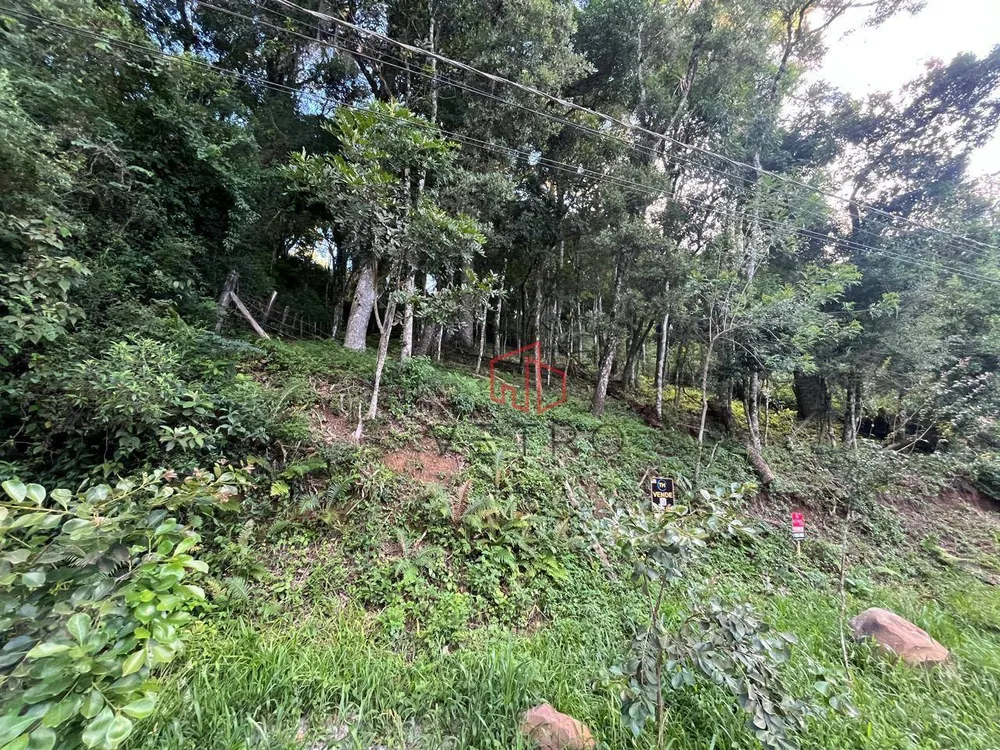 Terreno, 1125 m² - Foto 4