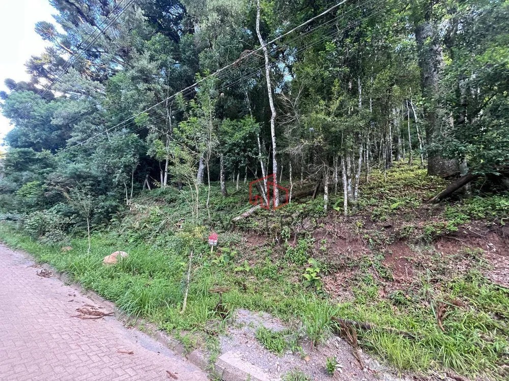 Terreno, 1125 m² - Foto 2