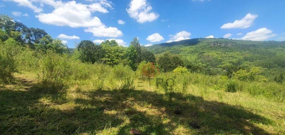Sítio, 4 hectares - Foto 2