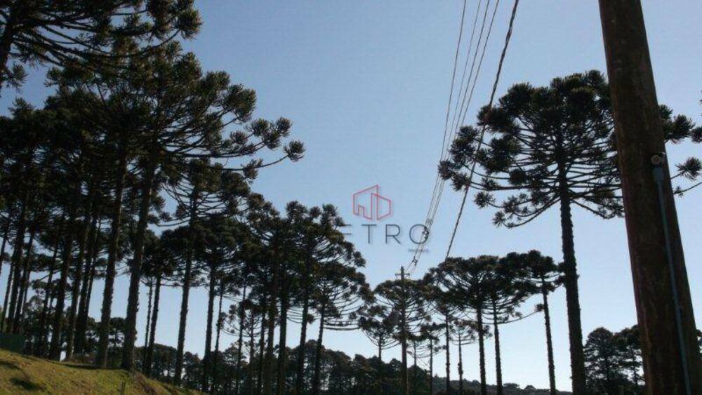 Loteamento e Condomínio, 701 m² - Foto 6