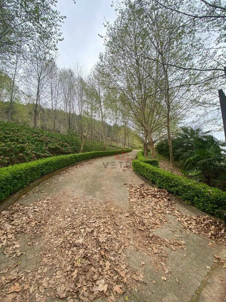 Sítio, 9 hectares - Foto 4