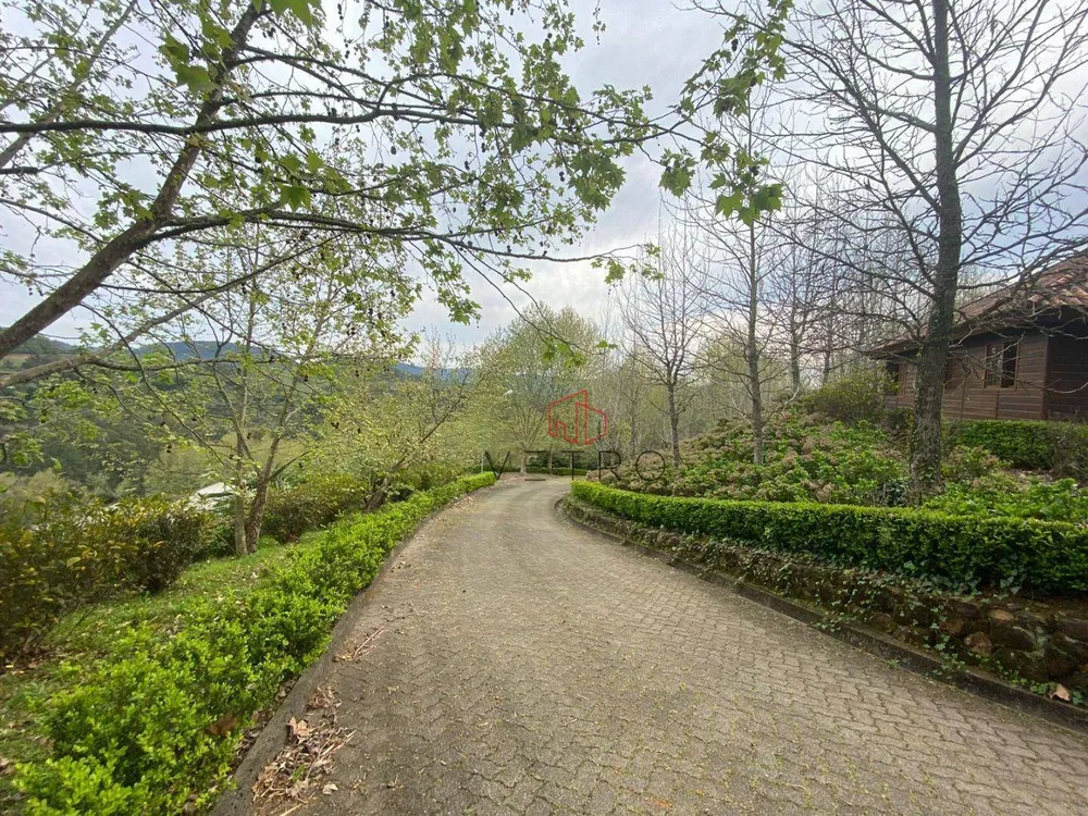 Sítio, 9 hectares - Foto 1