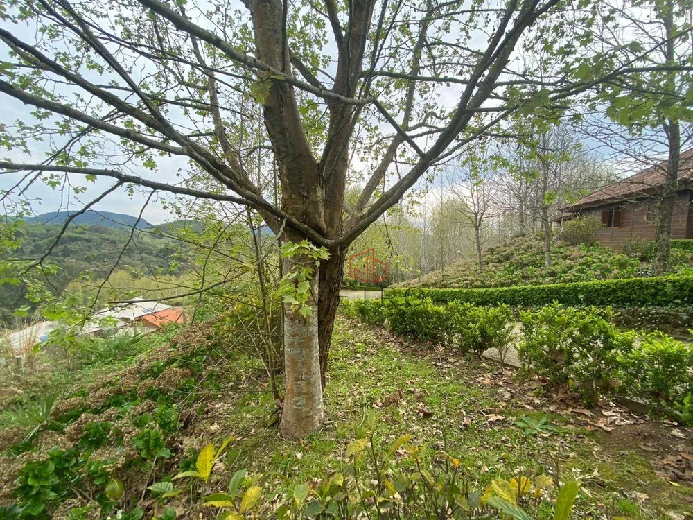 Sítio, 9 hectares - Foto 7