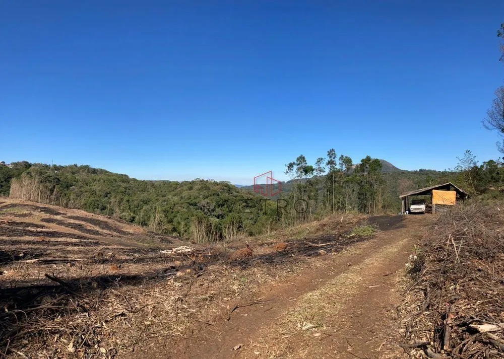 Terreno, 7 hectares - Foto 4