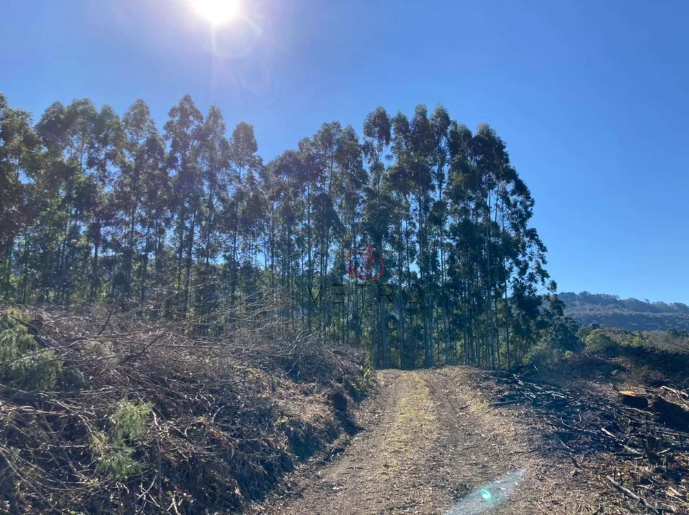Terreno, 7 hectares - Foto 7