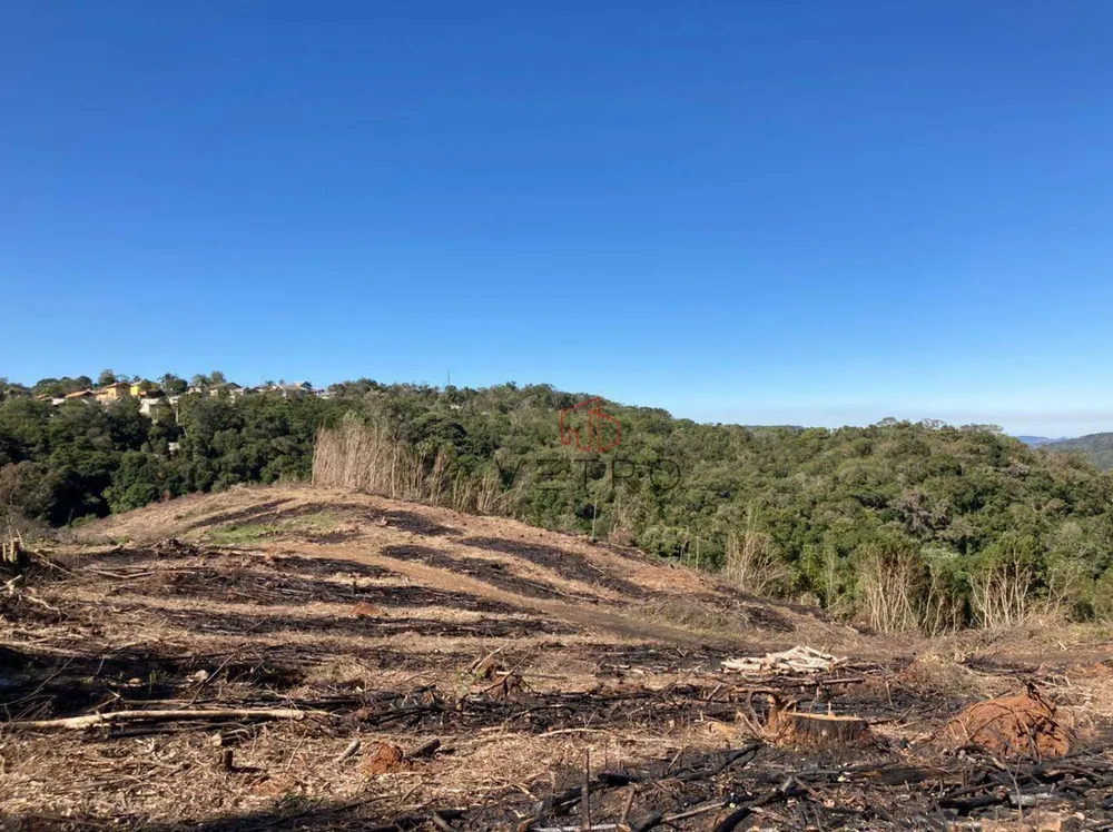 Terreno, 7 hectares - Foto 8