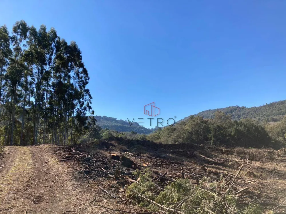 Terreno, 7 hectares - Foto 1