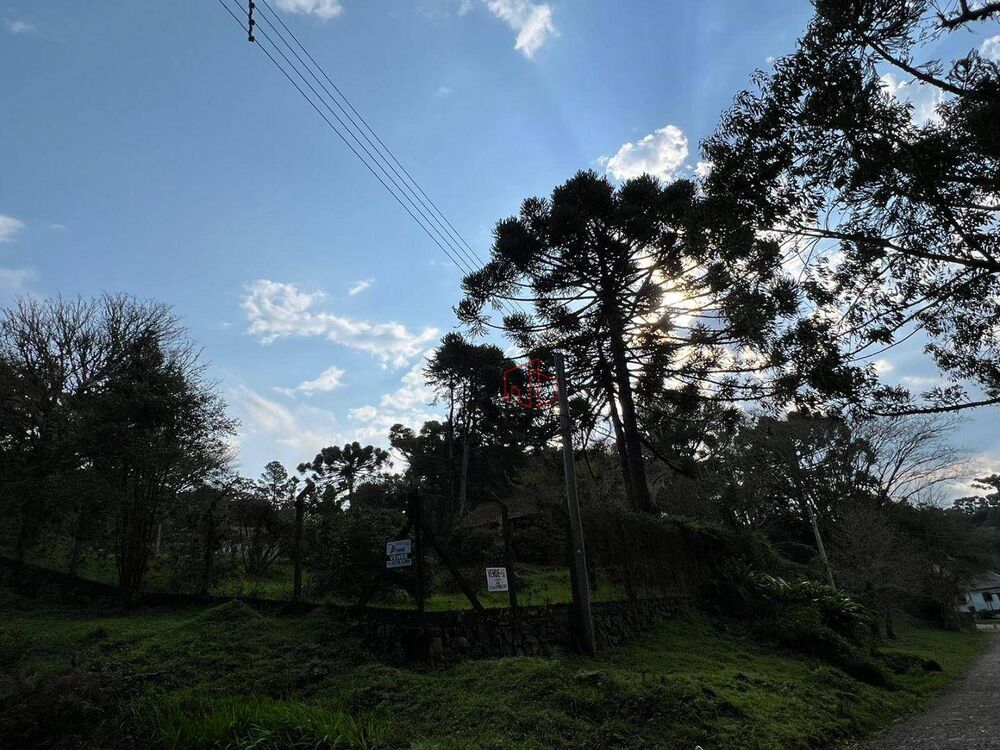 Terreno, 1600 m² - Foto 7