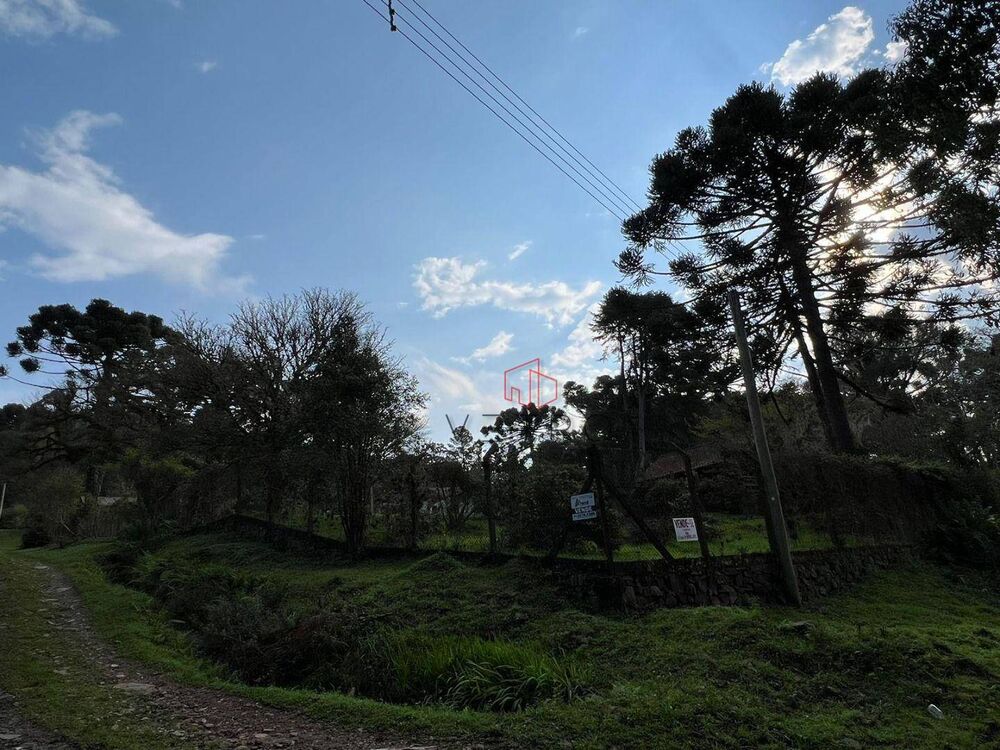 Terreno, 1600 m² - Foto 6