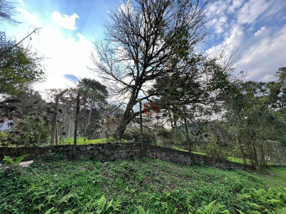 Terreno, 1600 m² - Foto 2