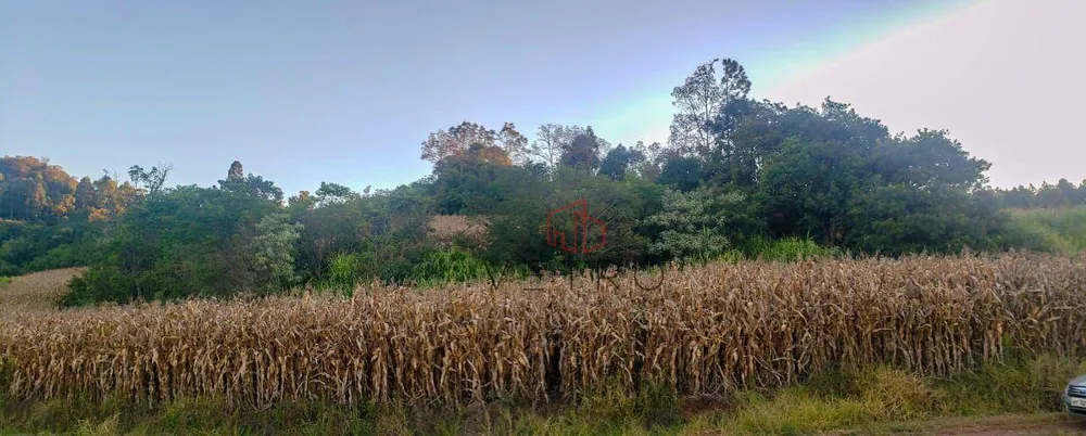 Terreno, 5 hectares - Foto 2