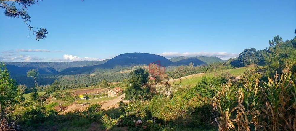 Terreno, 5 hectares - Foto 1