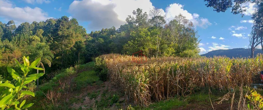 Terreno, 5 hectares - Foto 3