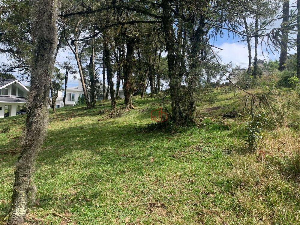 Loteamento e Condomínio, 723 m² - Foto 4