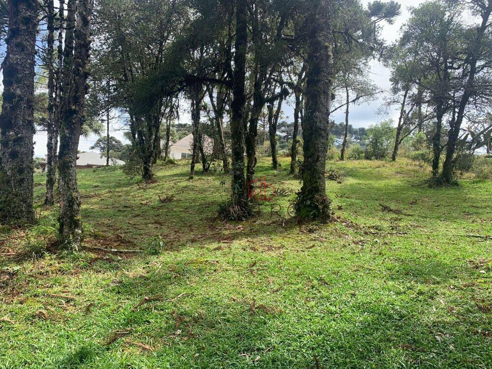 Loteamento e Condomínio, 723 m² - Foto 3