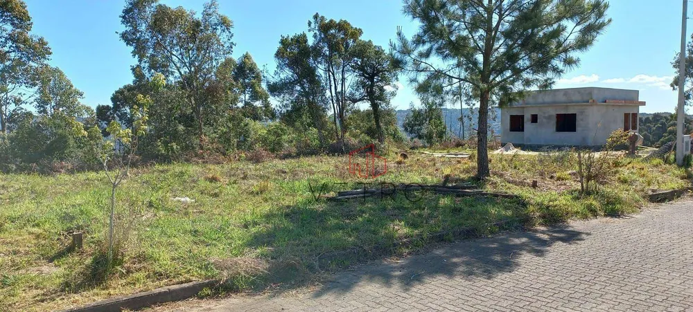 Loteamento e Condomínio, 250 m² - Foto 1