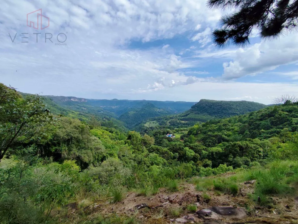 Sítio, 16 hectares - Foto 1