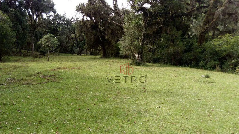 Sítio, 3 quartos, 7 hectares - Foto 4