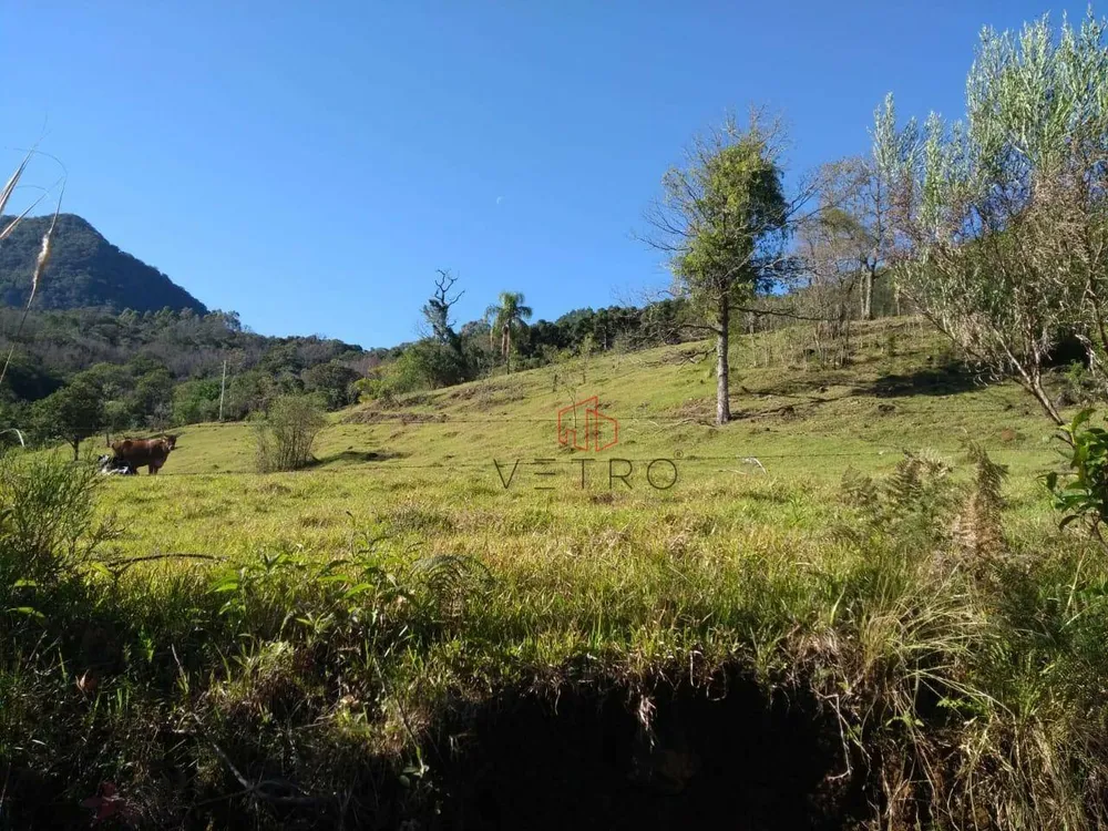 Sítio, 4 quartos, 45 hectares - Foto 2