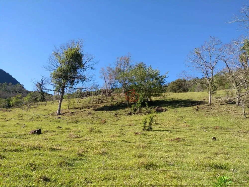 Sítio, 4 quartos, 45 hectares - Foto 1