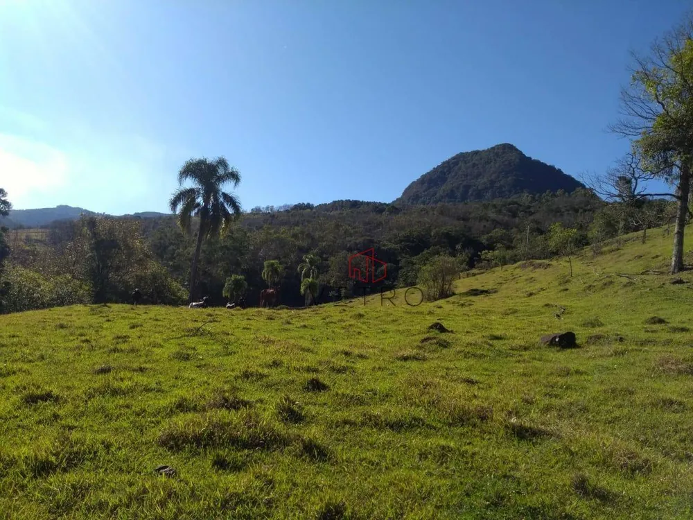Sítio, 4 quartos, 45 hectares - Foto 3