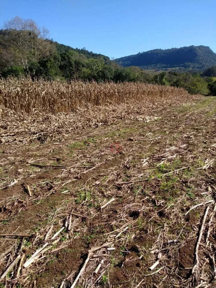 Sítio, 4 quartos, 45 hectares - Foto 4
