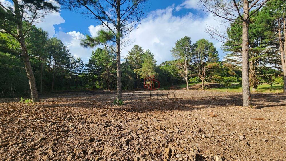 Loteamento e Condomínio, 2134 m² - Foto 3