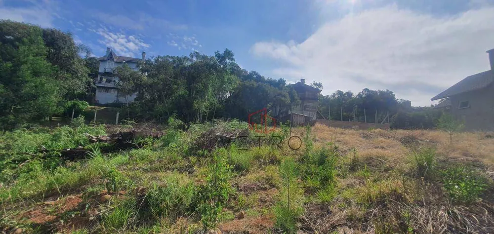Loteamento e Condomínio, 600 m² - Foto 2