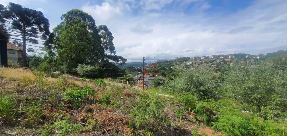 Loteamento e Condomínio, 600 m² - Foto 4