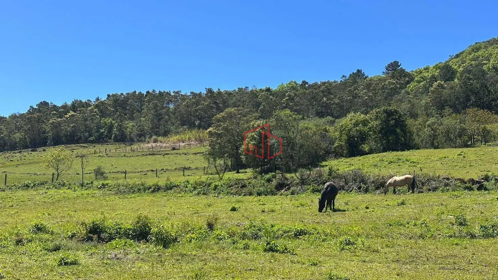 Sítio, 4 quartos, 37 hectares - Foto 6
