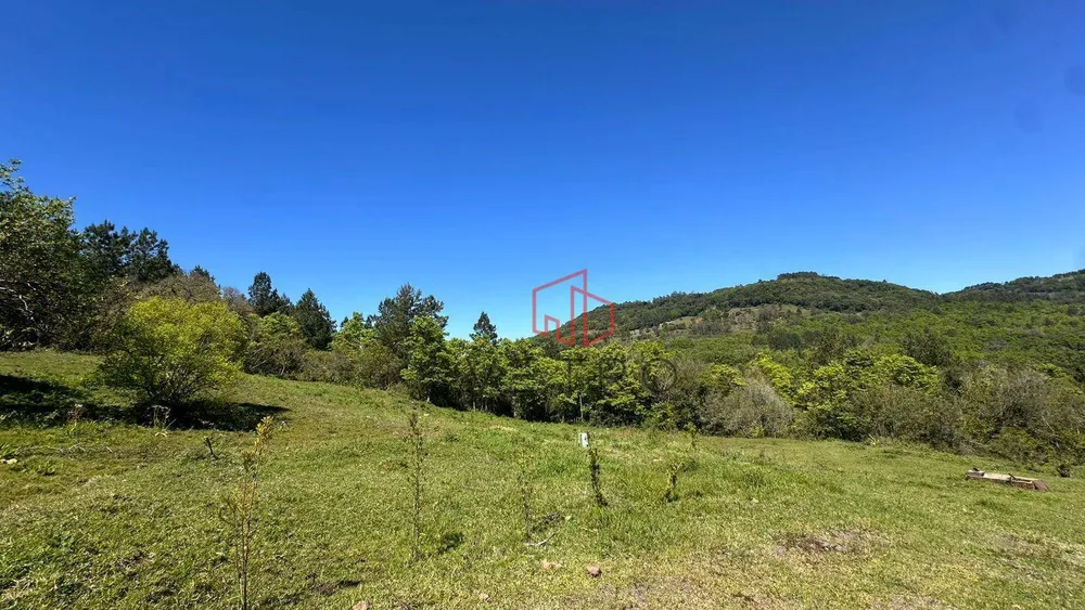 Sítio, 4 quartos, 37 hectares - Foto 8