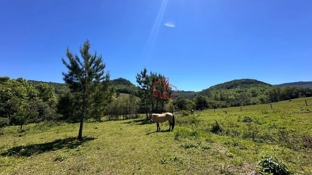 Sítio, 4 quartos, 37 hectares - Foto 7