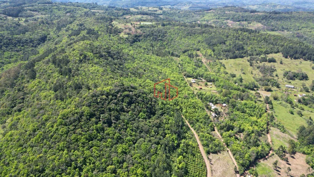 Sítio, 4 quartos, 37 hectares - Foto 16