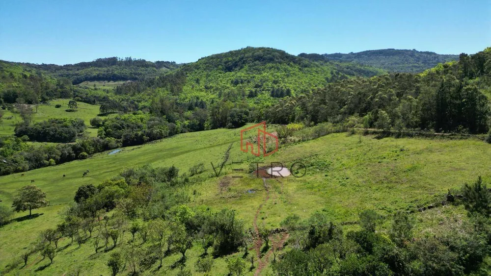 Sítio, 4 quartos, 37 hectares - Foto 12