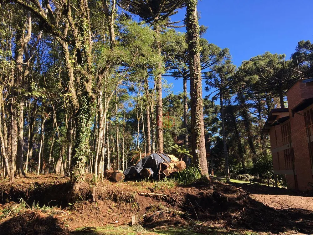 Terreno, 604 m² - Foto 6