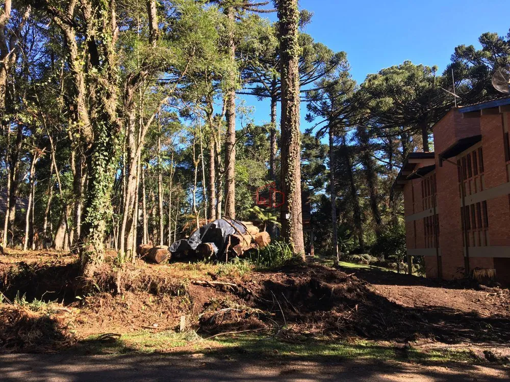 Terreno, 604 m² - Foto 1