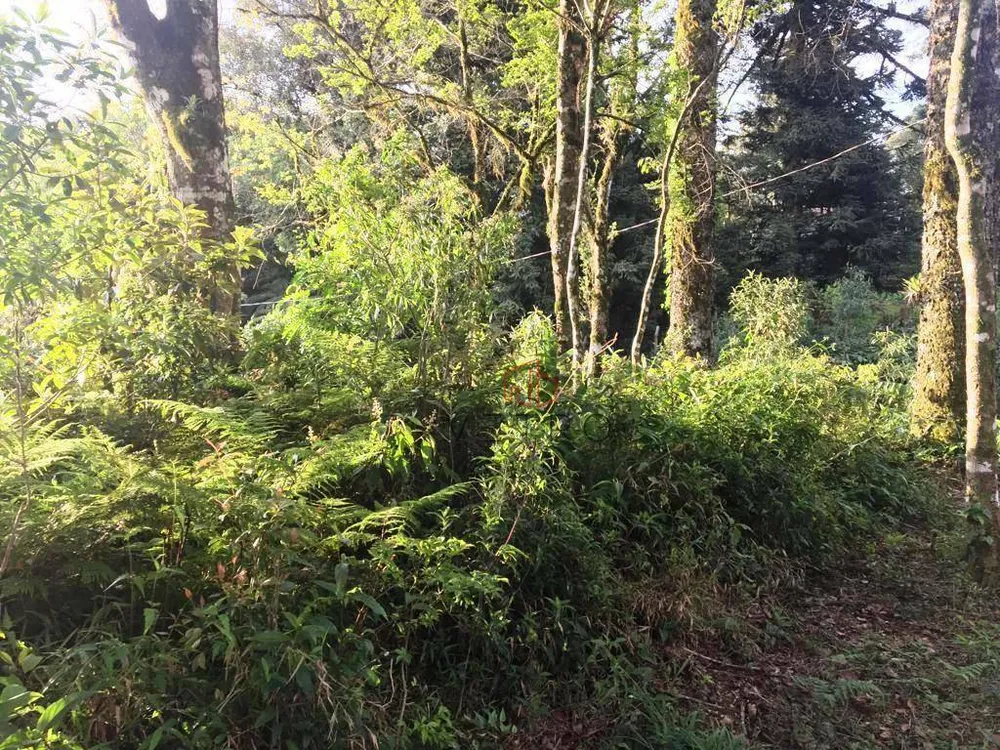 Terreno, 379 m² - Foto 4