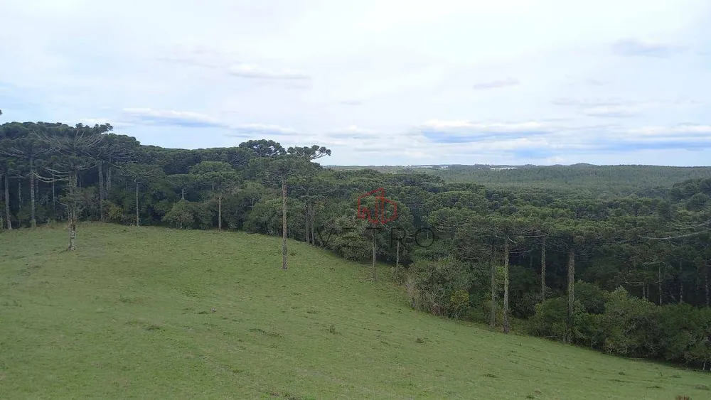 Sítio, 2 quartos, 18 hectares - Foto 4