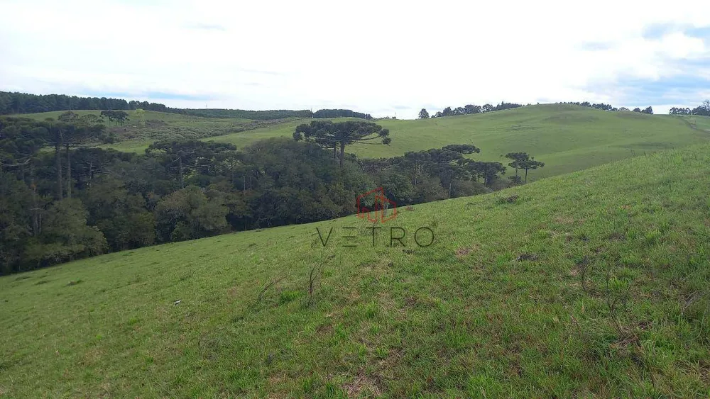 Sítio, 2 quartos, 18 hectares - Foto 2