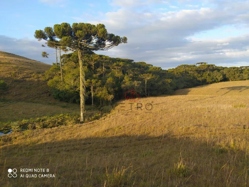Sítio, 2 quartos, 18 hectares - Foto 1