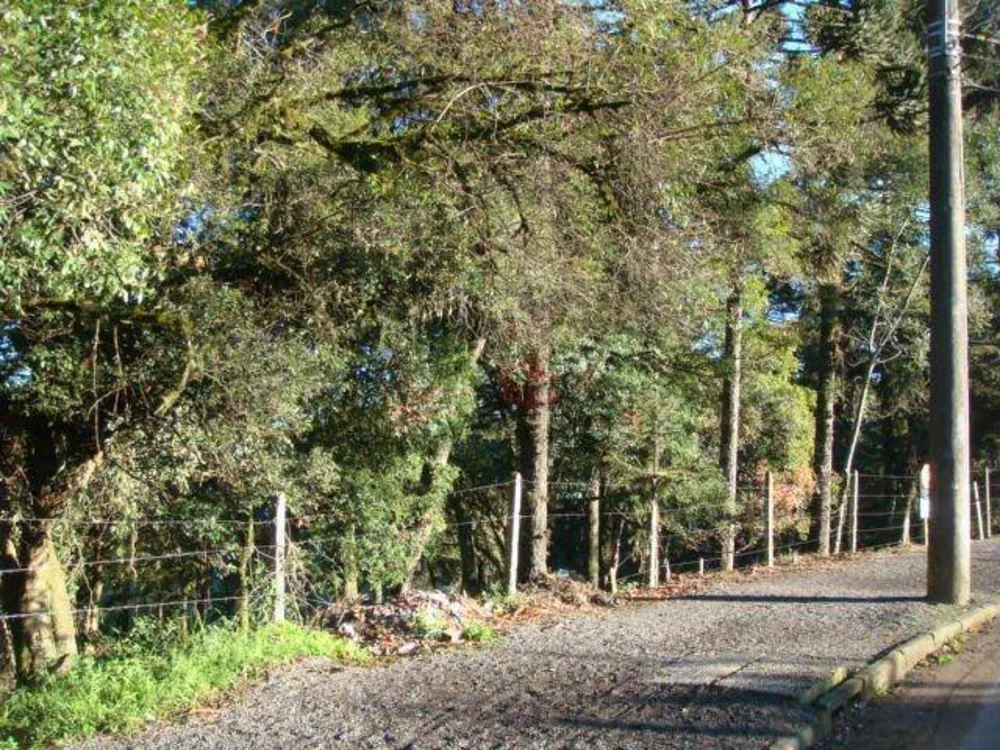 Terreno, 4825 m² - Foto 5