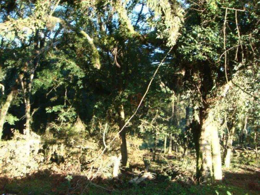 Terreno, 4825 m² - Foto 7