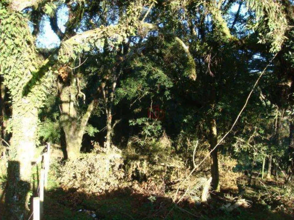 Terreno, 4825 m² - Foto 8
